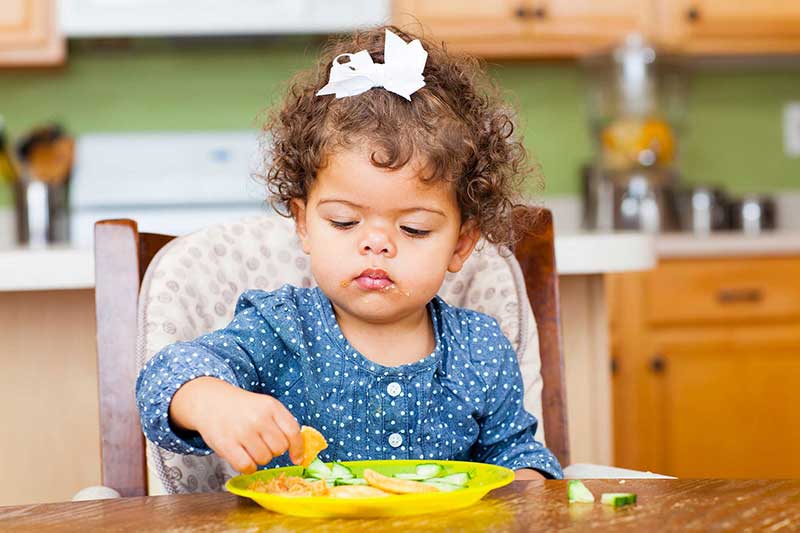 Toddler Nutrition: Hunger Cues for Toddlers